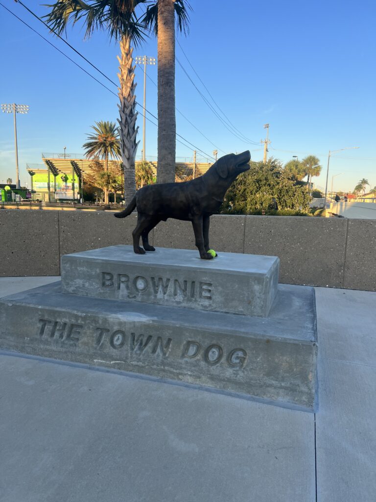 Brownie the Town Dog