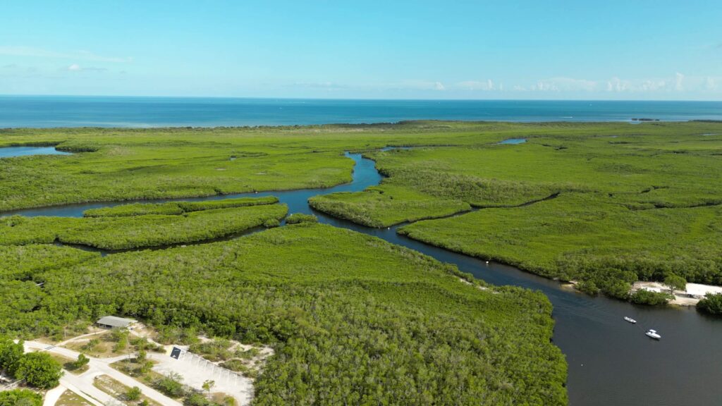 an aerial view of a river running through a lush green field